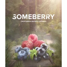 Тютюн 4.20 Chai Line Some Berry 125 грам (смородина малина чорниця)