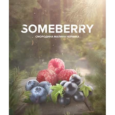 Тютюн 4.20 Chai Line Some Berry 125 грам (смородина малина чорниця)