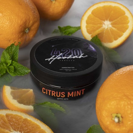 Табак 4.20 Citrus Mint 40 грамм (цитрус мята)