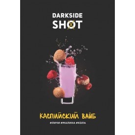 Табак Dark Side Shot Line Каспийский Вайб 120 грамм (личи малина кола)