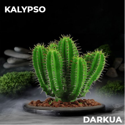 Табак Dark UA Kalypso 100 грам (кактус)