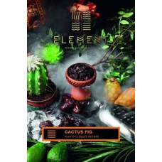 Табак Element Earth Cactus - Fig 100 грамм (кактусовый финик)