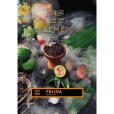Табак Element Earth Feijoa 100 грамм (фейхоа)
