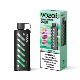 Одноразка VOZOL Berry Mint 25000 затяжек (ягоди м'ята)