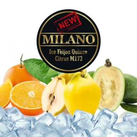 Тютюн Milano Ice Feijoa Quince Citrus M173 50 грам (лід фейхоа айва апельсин)