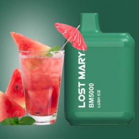 Одноразка Lost Mary BM 5000 затяжек (кавун лід)