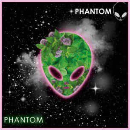 Табак Phantom Soft Mix Mint 50 грамм (микс сортов мяты)